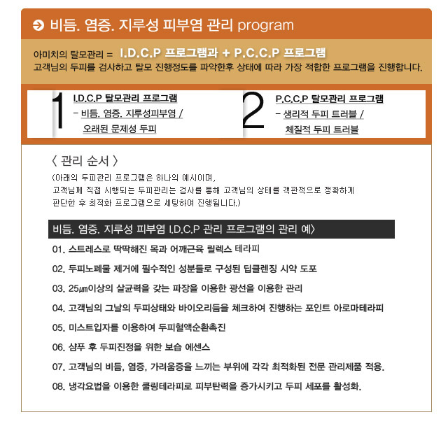 비듬/염증/지루성